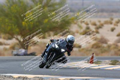 media/Apr-10-2022-SoCal Trackdays (Sun) [[f104b12566]]/Turn 5 Tree of Life (1040am)/